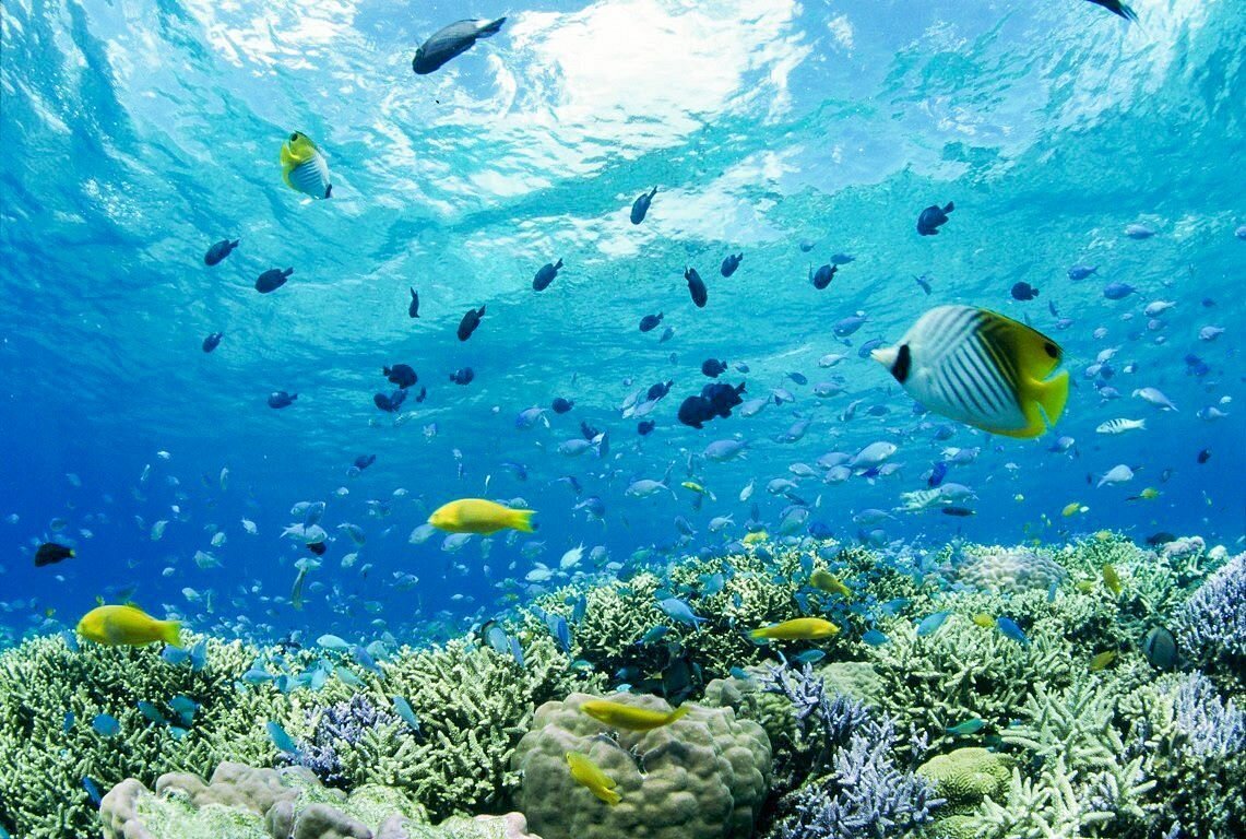 🏖️ 시기라 해변 (シギラビーチ) 이미지 4